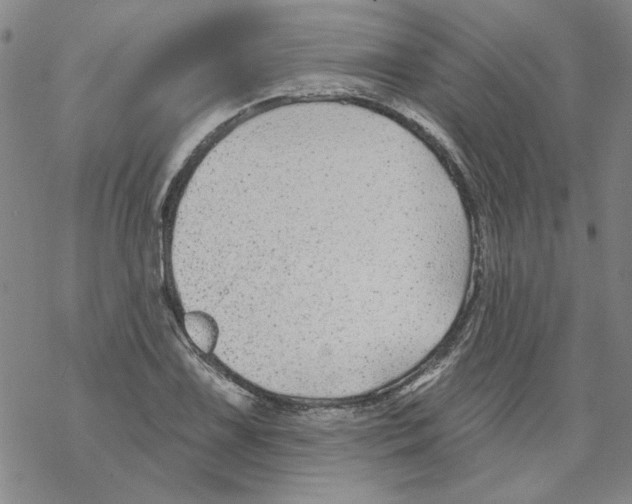 X0000067921075200605112002