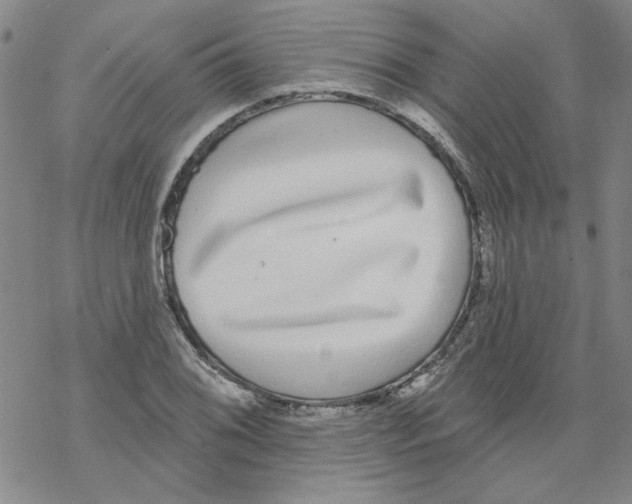 X0000067921076200605112002