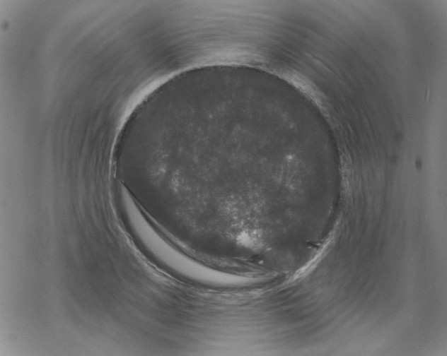 X0000067921077200605112002