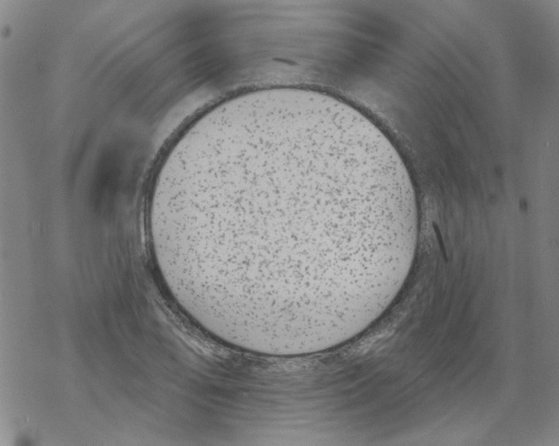 X0000067921078200605112002