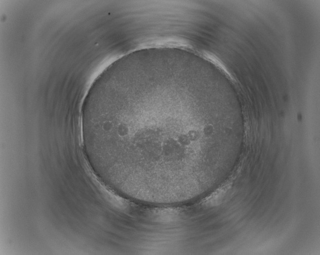 X0000067921079200605112002