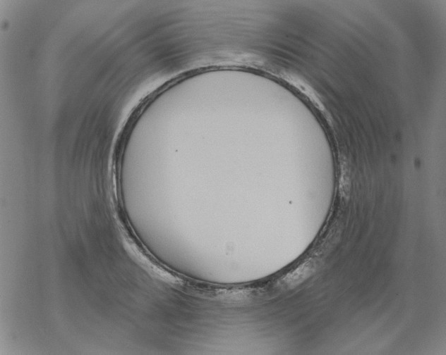 X0000067921080200605112002