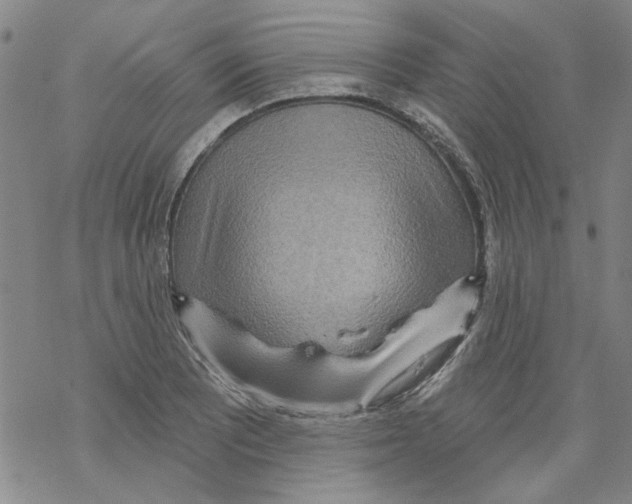 X0000067921081200605112002