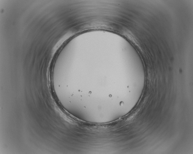 X0000067921082200605112002