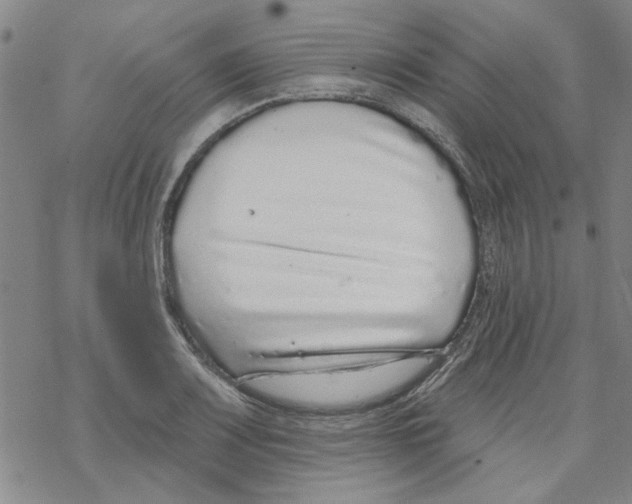 X0000067921083200605112002