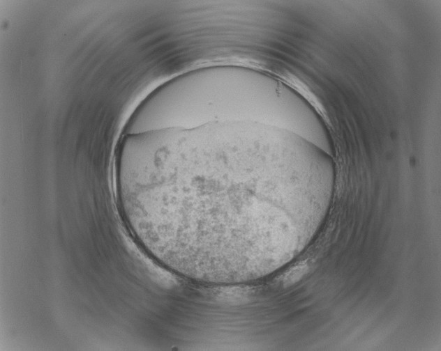 X0000067921084200605112002