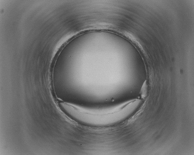 X0000067921085200605112002