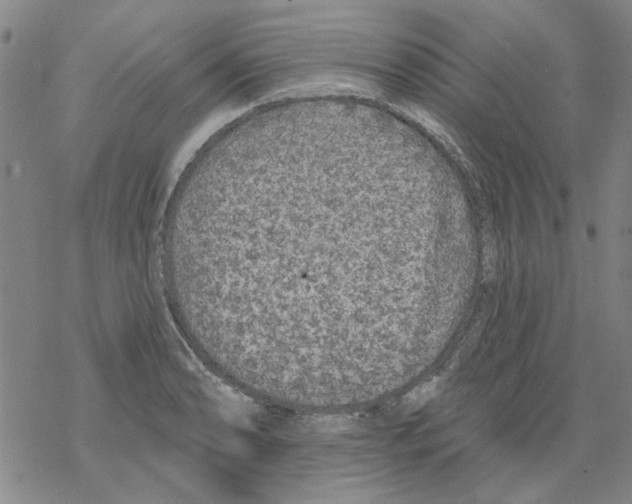 X0000067921086200605112002