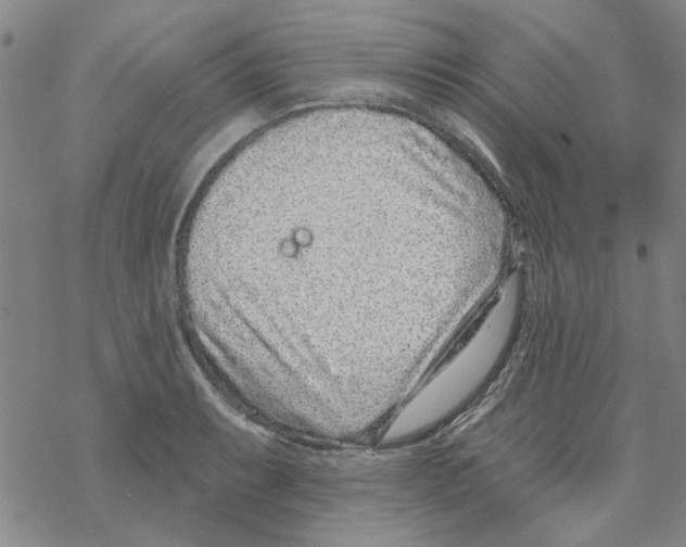 X0000067921087200605112002