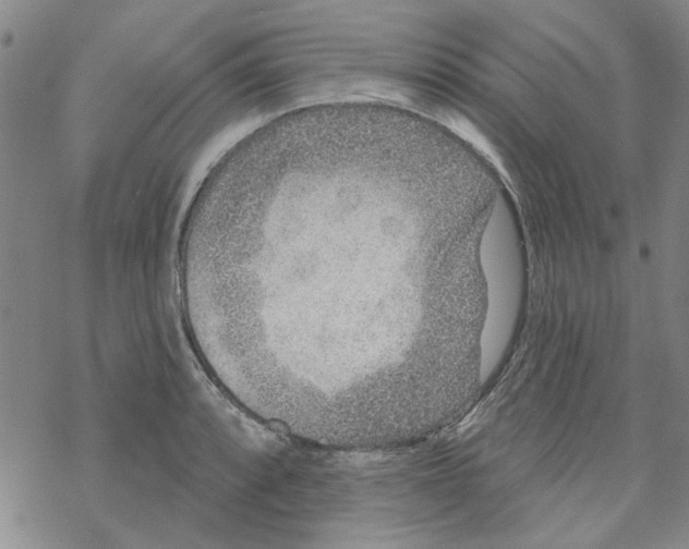 X0000067921088200605112002