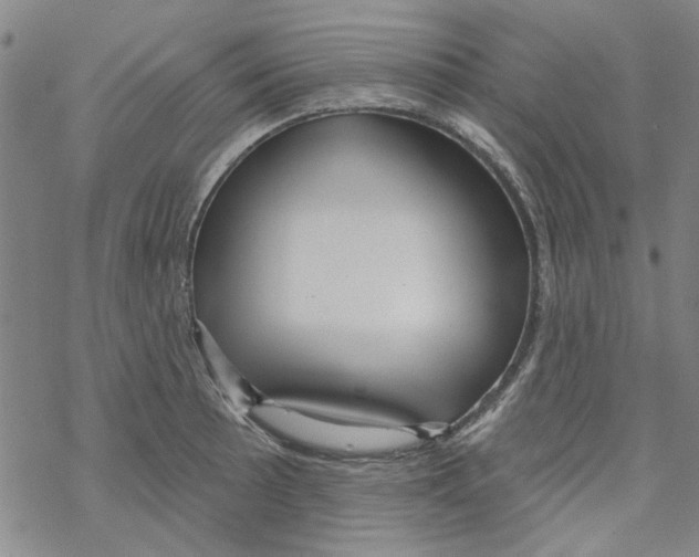 X0000067921089200605112002