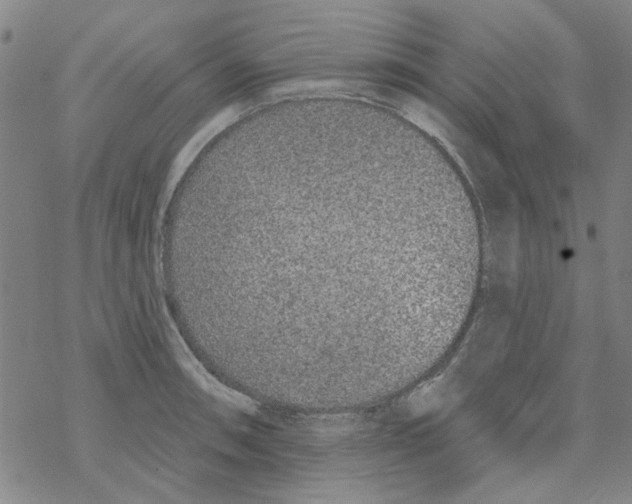 X0000067921090200605112002