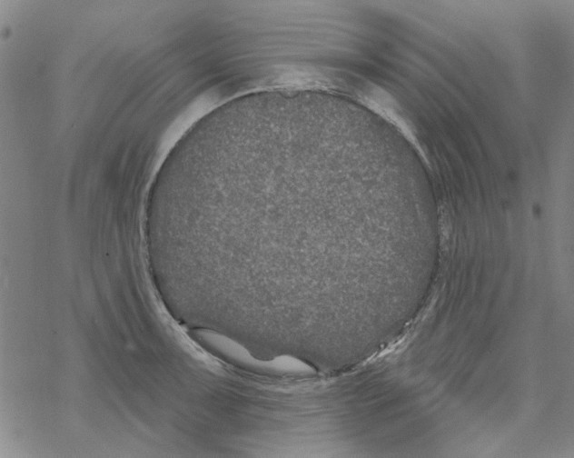 X0000067921091200605112002