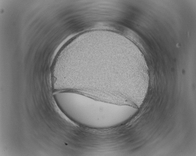 X0000067921092200605112002