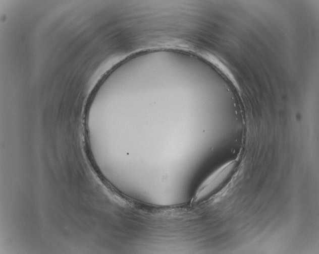 X0000067921093200605112002