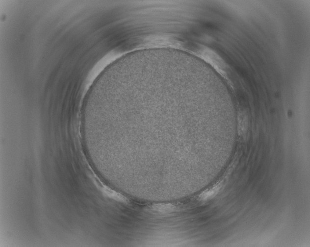 X0000067921094200605112002