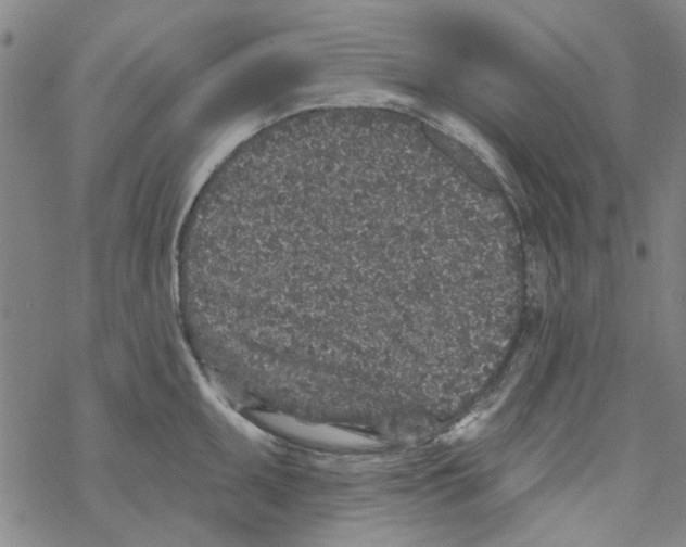 X0000067921095200605112002