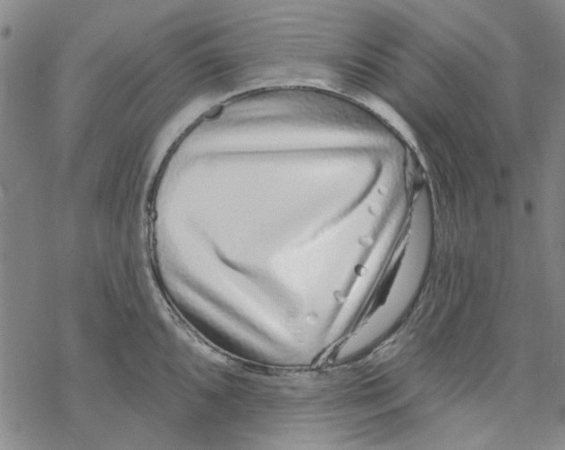 X0000067921096200605112002