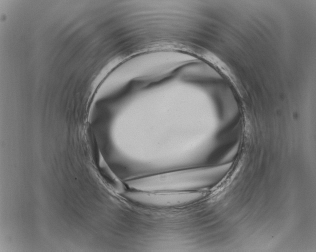 X0000067921097200605112002