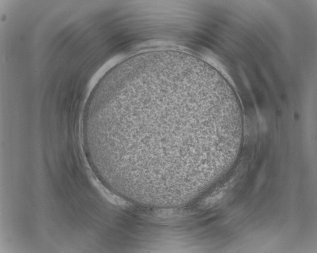 X0000067921098200605112002