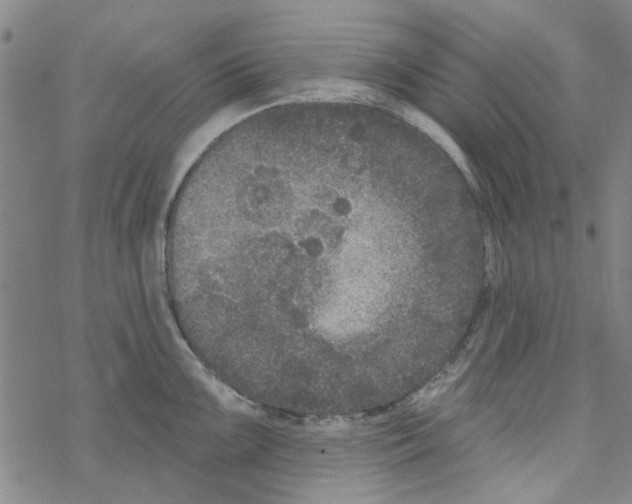 X0000067921099200605112002