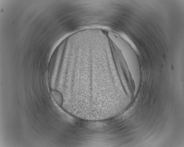 X0000067921100200605112002