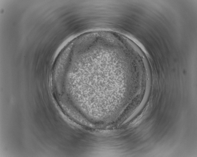 X0000067921101200605112002