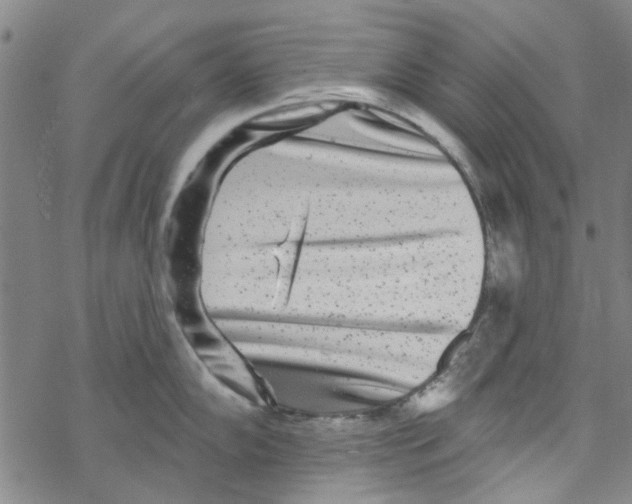 X0000067921102200605112002