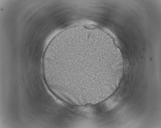 X0000067921103200605112002