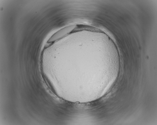 X0000067921104200605112002