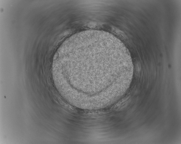 X0000067921105200605112001