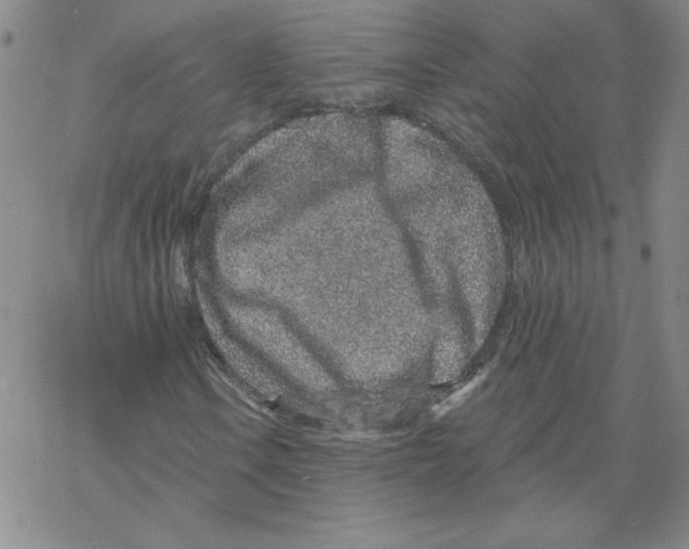 X0000067921106200605112001