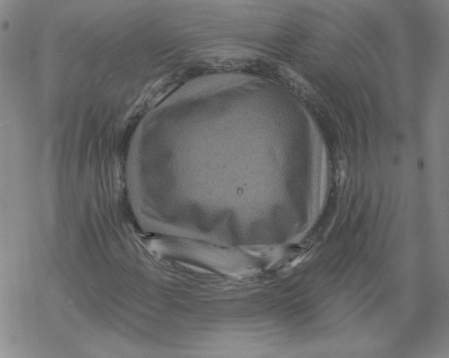 X0000067921108200605112001