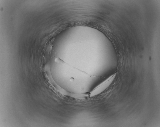 X0000067921109200605112001