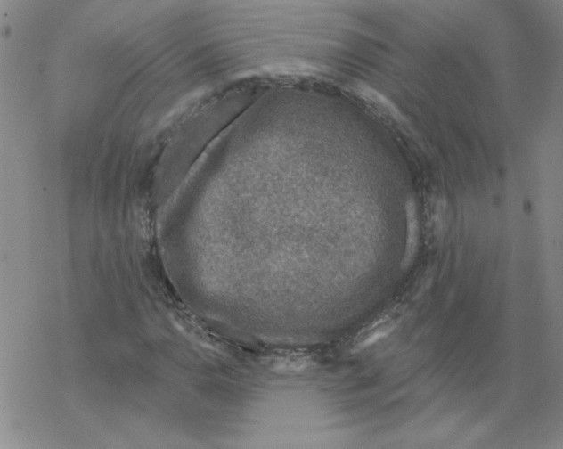 X0000067921110200605112001