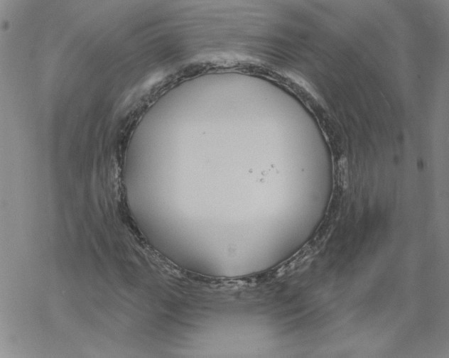 X0000067921111200605112001