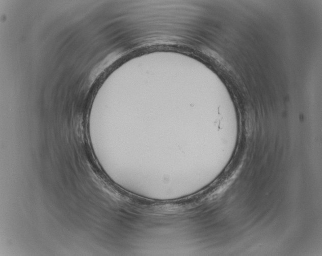 X0000067921113200605112001