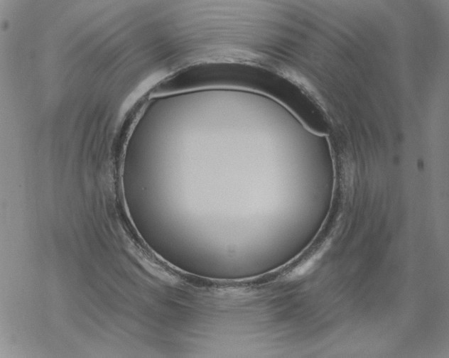 X0000067921114200605112001