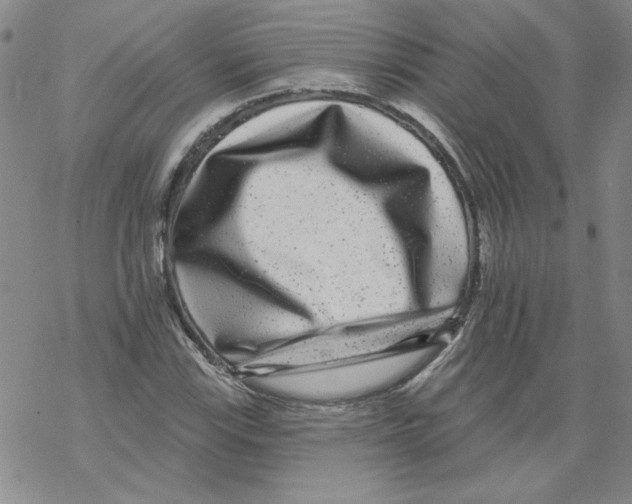 X0000067921115200605112001