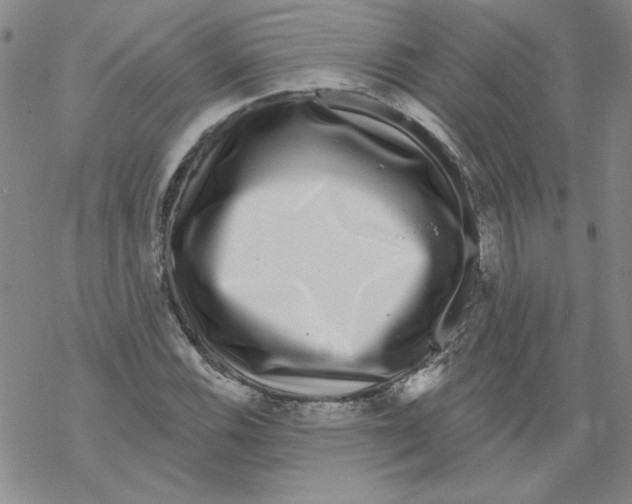 X0000067921116200605112001