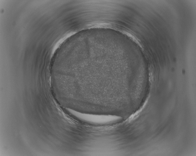 X0000067921117200605112001