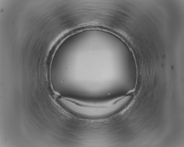 X0000067921118200605112001