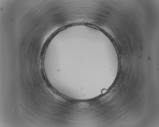 X0000067921119200605112001