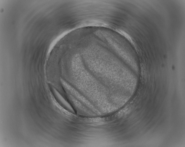 X0000067921120200605112001