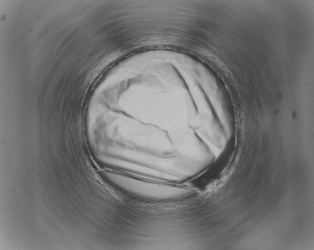 X0000067921121200605112001