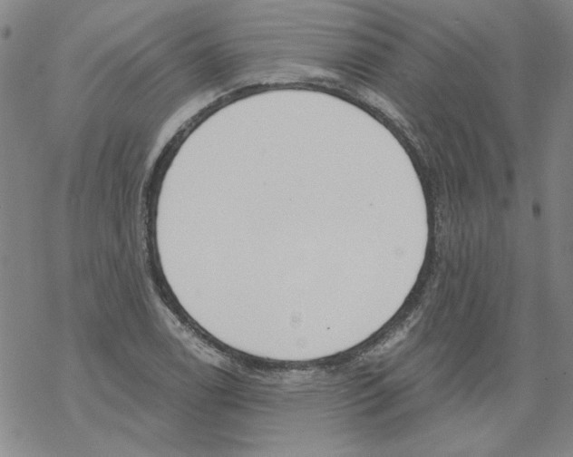 X0000067921122200605112001