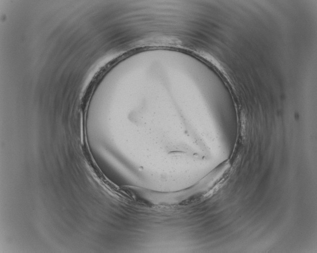 X0000067921123200605112001