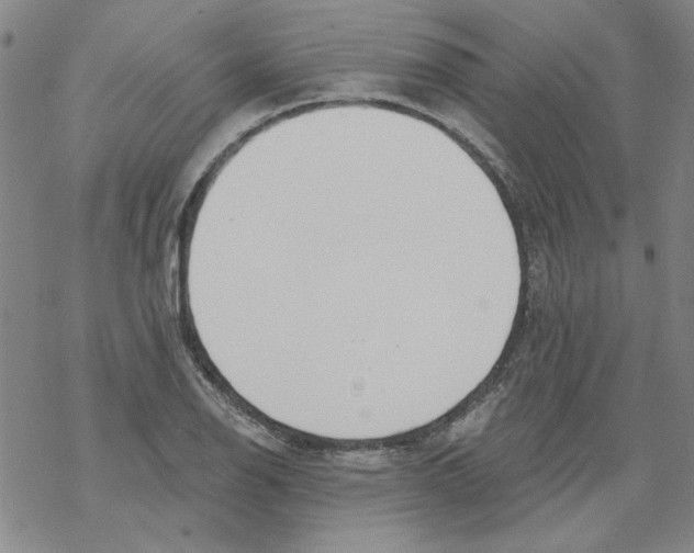 X0000067921126200605112001