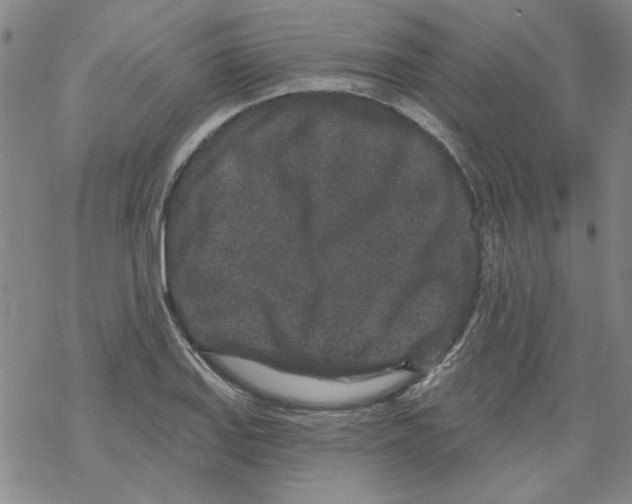 X0000067921127200605112001