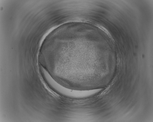 X0000067921128200605112001